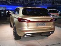 Lincoln MKX Los Angeles (2014) - picture 6 of 6