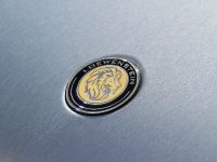 Loewenstein Mercedes-Benz E-LM63-700 (2014)