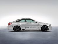 Lorinser Mercedes-Benz E-Class Coupe (2010)