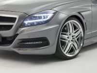 Lorinser Mercedes CLS C218 (2011) - picture 6 of 6