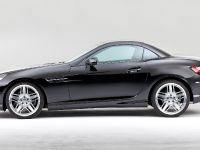 Lorinser Mercedes SLK-Class (2011) - picture 3 of 4