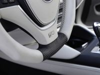 LUMMA BMW X6 (2011) - picture 7 of 11