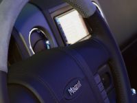 Magnat Ford F-150 show truck (2010)