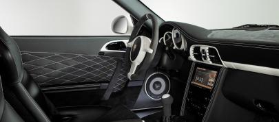 MAGNAT SNOWMOBILE Porsche GT3 (2011) - picture 7 of 14