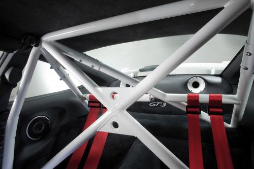 MAGNAT SNOWMOBILE Porsche GT3 (2011) - picture 8 of 14