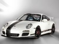MAGNAT SNOWMOBILE Porsche GT3 (2011) - picture 1 of 14