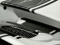 MAGNAT SNOWMOBILE Porsche GT3 (2011) - picture 5 of 14