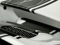 MAGNAT SNOWMOBILE Porsche GT3 (2011) - picture 5 of 14