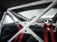 MAGNAT SNOWMOBILE Porsche GT3 (2011) - picture 8 of 14