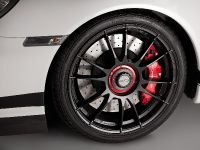 MAGNAT SNOWMOBILE Porsche GT3 (2011) - picture 14 of 14