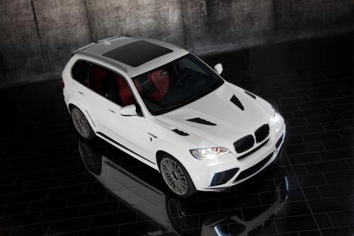 Mansory BMW X5 E70 (2010) - picture 9 of 15