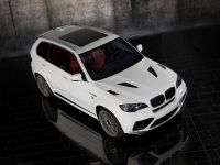 Mansory BMW X5 E70 (2010) - picture 8 of 15