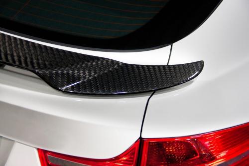 Mansory BMW X6 M (2010) - picture 16 of 18