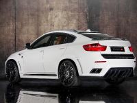Mansory BMW X6 M (2010) - picture 8 of 18