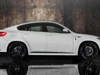 Mansory BMW X6 M (2010)
