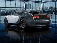 Mansory Bugatti Veyron Vivere (2014) - picture 2 of 7