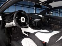 Mansory Bugatti Veyron Vivere (2014) - picture 5 of 7