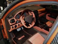 MANSORY Chopster Porsche Cayenne (2009) - picture 35 of 37