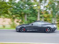 Mansory Cyrus Aston Martin DB9 (2009) - picture 11 of 27