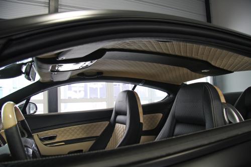 Mansory Bentley GT Speed (2009) - picture 9 of 10