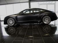 Mansory GT Speed (2009) - picture 5 of 10