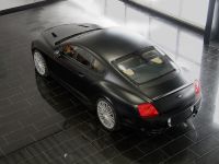Mansory GT Speed (2009) - picture 2 of 10