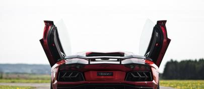Mansory Lamborghini Aventador LP700-4 (2012) - picture 15 of 40