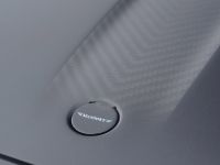 Mansory Mercedes-Benz S-Class AMG S63 (2014) - picture 14 of 17