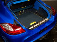 MANSORY Porsche Panamera Turbo (2010)