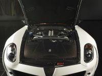 Mansory Stallone Ferrari 599 GTB Fiorano (2008)