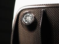 Mansory Stallone Ferrari 599 GTB Fiorano (2008)