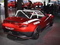 Mazda Global MX-5 Cup Racecar Los Angeles (2014) - picture 2 of 2