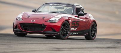 Mazda Global MX-5 Cup Racecar (2014) - picture 4 of 25