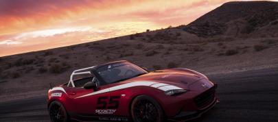 Mazda Global MX-5 Cup Racecar (2014) - picture 7 of 25