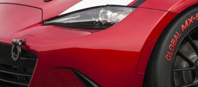 Mazda Global MX-5 Cup Racecar (2014) - picture 23 of 25