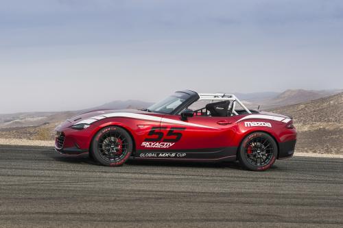 Mazda Global MX-5 Cup Racecar (2014) - picture 9 of 25