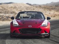 Mazda Global MX-5 Cup Racecar (2014) - picture 1 of 25