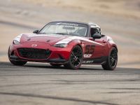 Mazda Global MX-5 Cup Racecar (2014) - picture 4 of 25