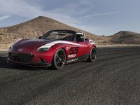 Mazda Global MX-5 Cup Racecar (2014) - picture 5 of 25