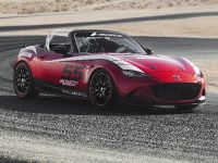 Mazda Global MX-5 Cup Racecar (2014) - picture 6 of 25