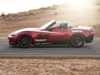 Mazda Global MX-5 Cup Racecar (2014) - picture 8 of 25