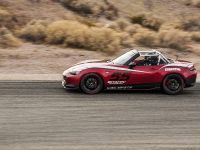 Mazda Global MX-5 Cup Racecar (2014) - picture 10 of 25