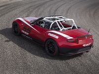 Mazda Global MX-5 Cup Racecar (2014) - picture 13 of 25