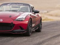 Mazda Global MX-5 Cup Racecar (2014)