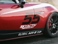 Mazda Global MX-5 Cup Racecar (2014)