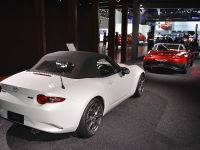 Mazda MX-5 Miata Los Angeles (2014) - picture 6 of 7