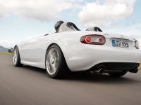Mazda MX-5 Superlight (2009) - picture 11 of 48