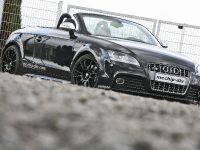 Mcchip dkr Audi TTS 2.0 TFSI DSG (2009) - picture 2 of 8