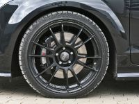 Mcchip dkr Audi TTS 2.0 TFSI DSG (2009) - picture 5 of 8