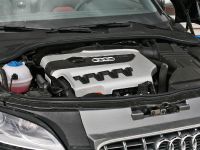 Mcchip dkr Audi TTS 2.0 TFSI DSG (2009) - picture 6 of 8